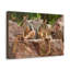 Wall Art on Canvas-57810074