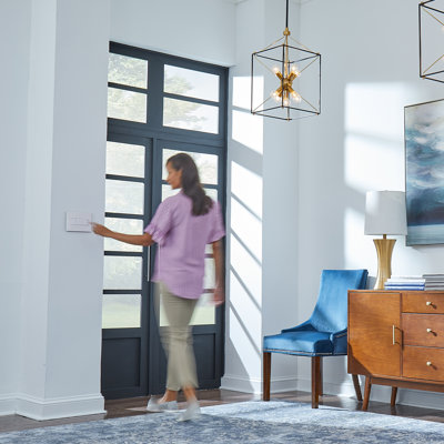 Commutateur de scène intelligent sans fil Adorne avec Netatmo, graphite