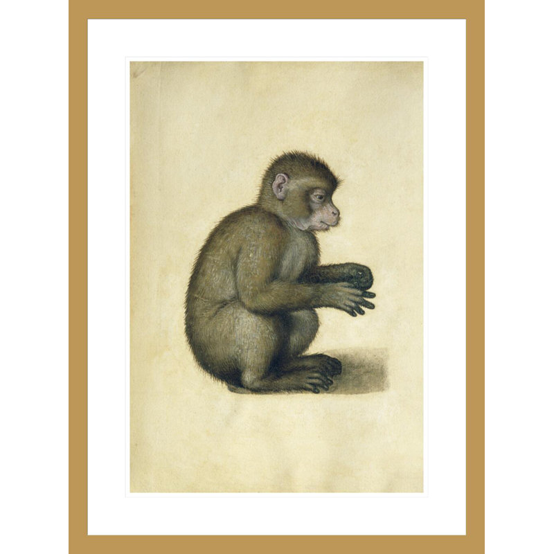 «A Monkey» par Albrecht Dürer, impression giclée sur cadre, H 29,5 po x l 22,17 po