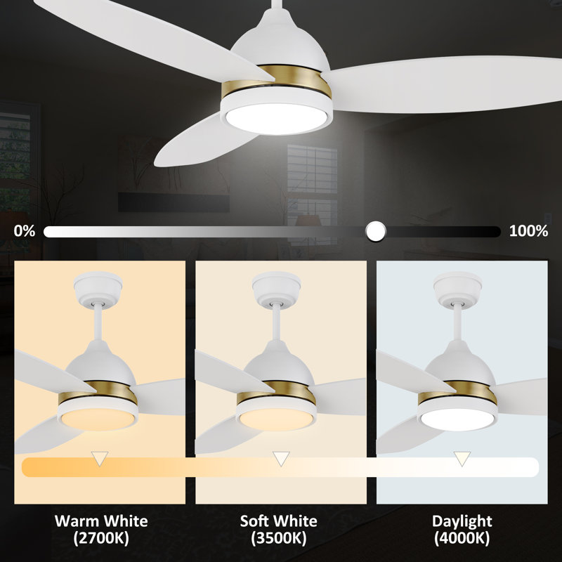 Eleanar 48'' Ceiling Fan with LED Lights
