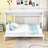 Murphy Bed with Slat