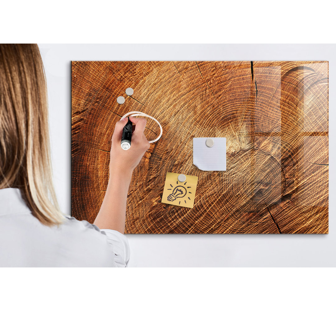 Old Trunk of a Tree Magnetic Wall Mounted Dry Erase Board