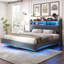 Annazette Upholstered Sleigh Bed-1938907568-1938907574