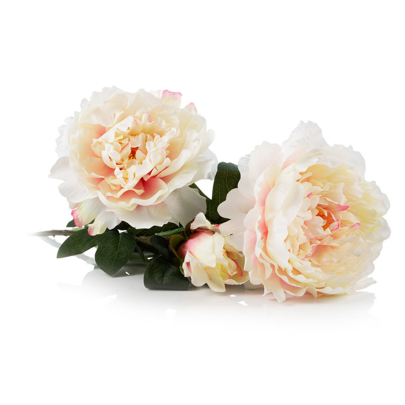 Tige de pivoine 28 po, Rose