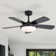 Damecia 42'' 5 Blade Modern Ceiling Fan With Light and Remote Control