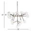 Timothy 20 - Light Chandelier