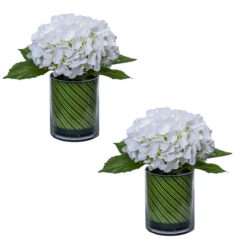 Ensemble de 2 grands arrangements floraux d'hortensias blancs de 12,5 po dans des vases circulaires | Fleurs réelles dans un vase en verre