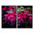 Black sélectionné