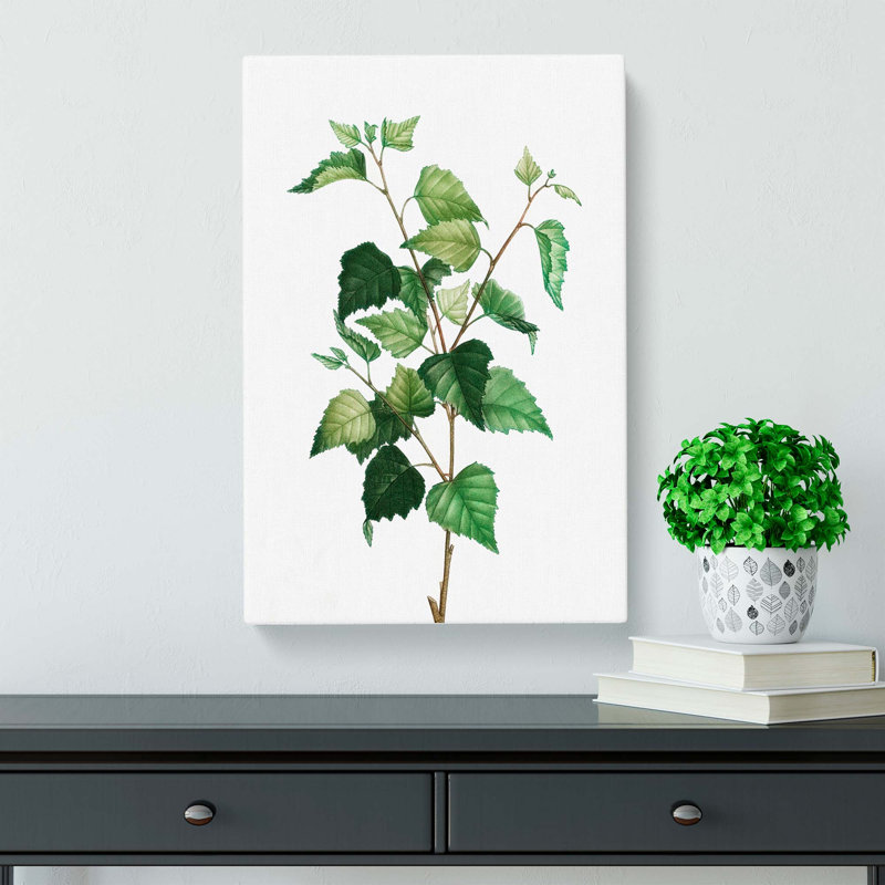 Silver Birch Tree Branch by Pierre-Joseph Redoute - Wrapped Canvas Painting, 50cm H x 35cm W x 3cm D