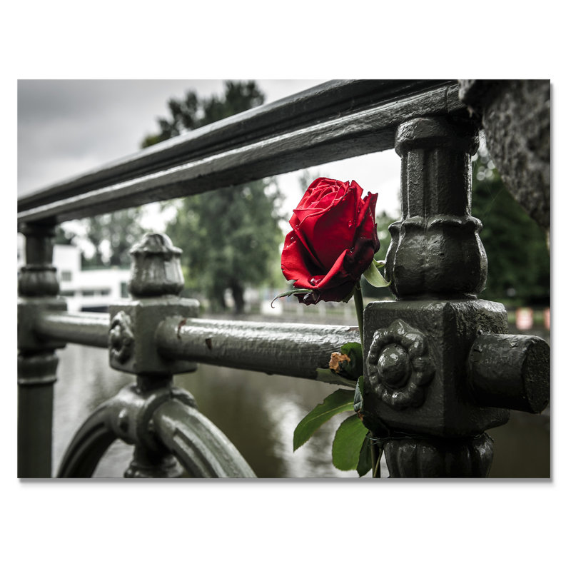 Rose rouge sur un pont - photographie sur toile encadrée, H 24 po x l 36 po x P 1 po, Toile tendue