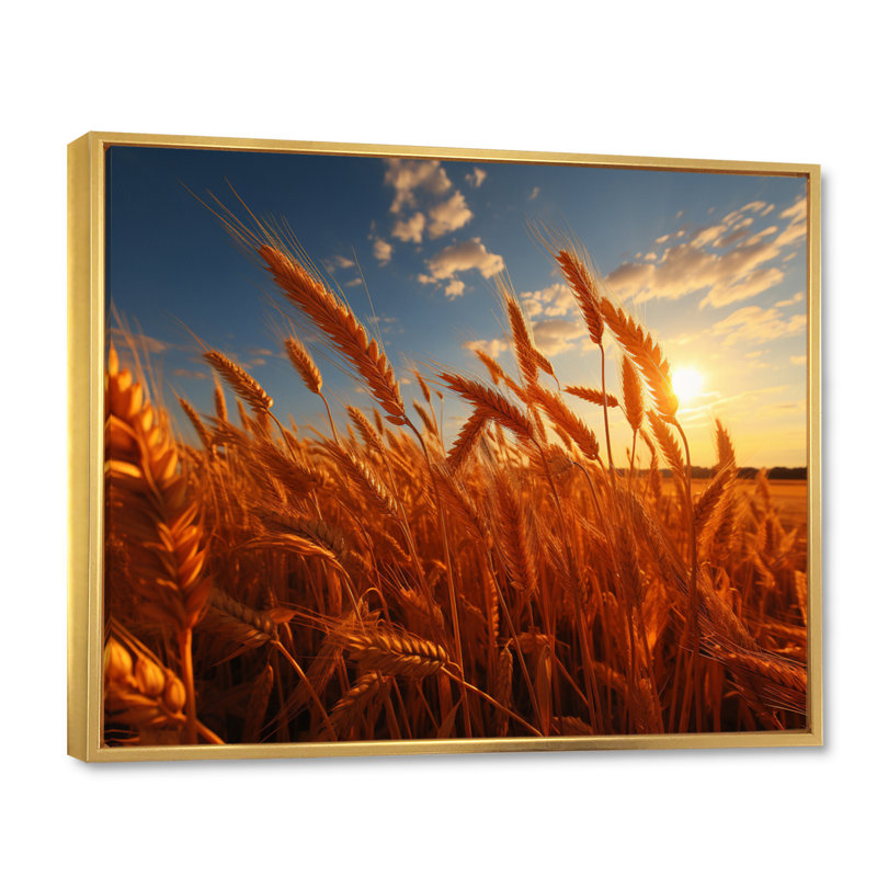 Canada Golden Harvest II - Canada Canvas Wall Art, 24" H x 32" W x 1" D, Gold Floater Framed