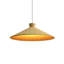 Luminaire conique conique à 1 lumière-99902159