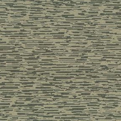 Tissu Fragment
