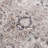 Agalia Machine Washable Oriental Charcoal/Black Area Rug-1174315967