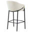 Tabourets de bar inclinés (ensemble de 2)
