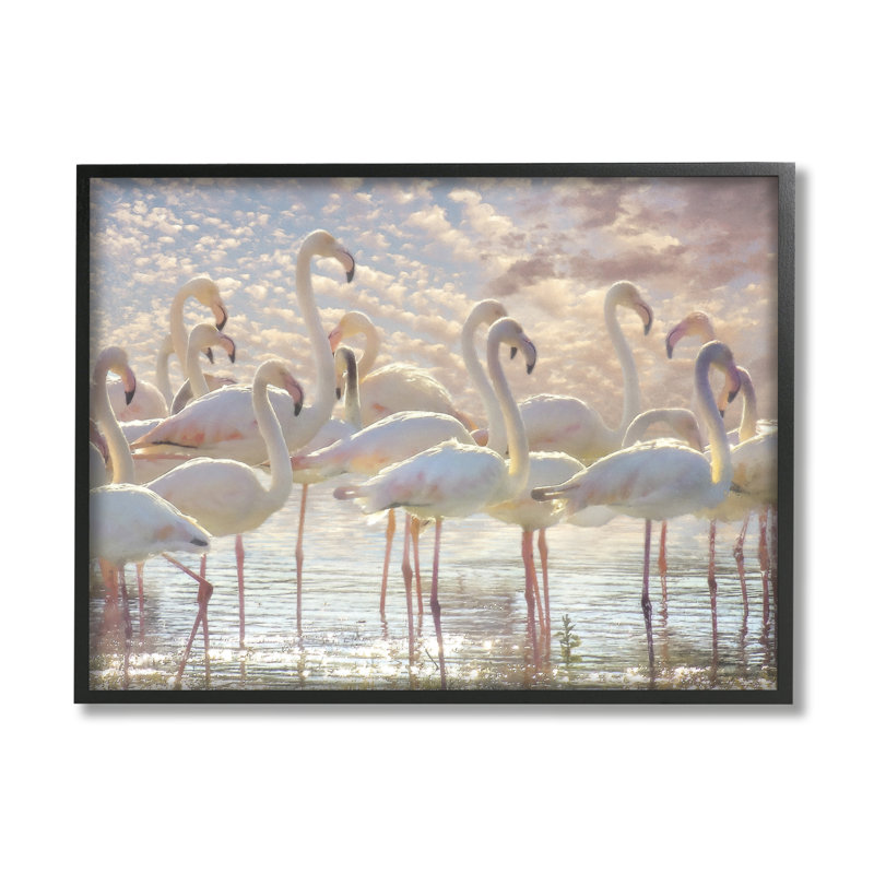 Jolis flamants roses et blancs sur fond de nuages d'eau scintillants par Steve Hunziker - photographie