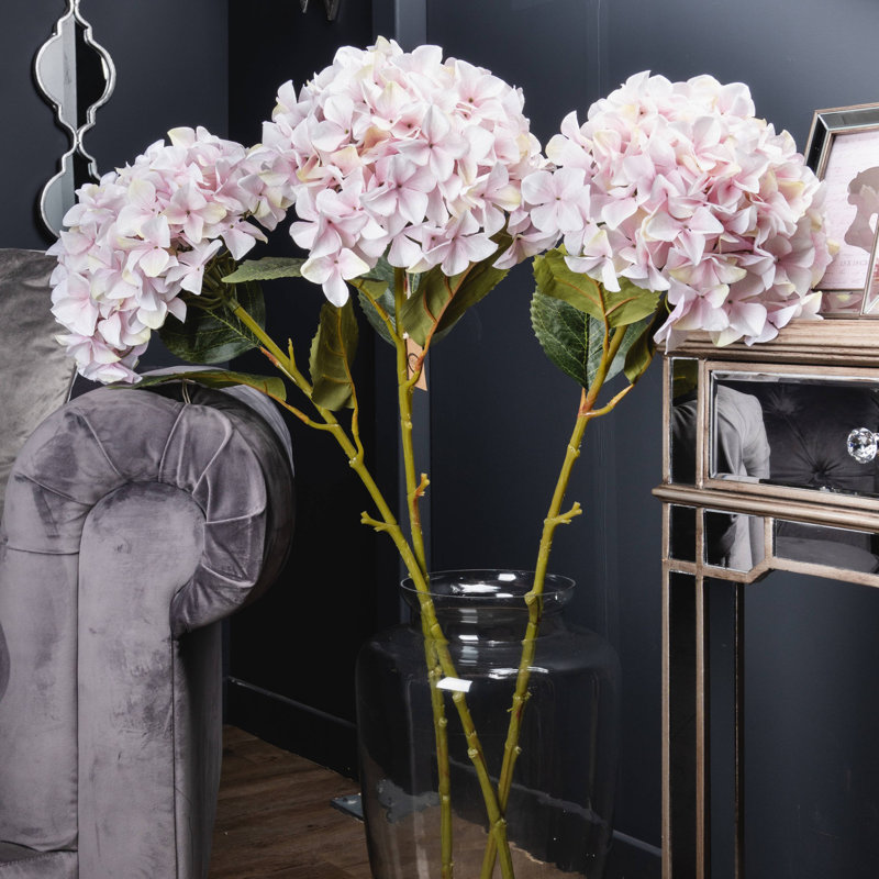 Anastasija Arrangement