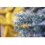 3.15' H Lighted Artificial Christmas Tree