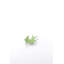 Dove Dish Vanity Tray-1737696014
