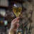Magnifico Wine Glasses-86898745