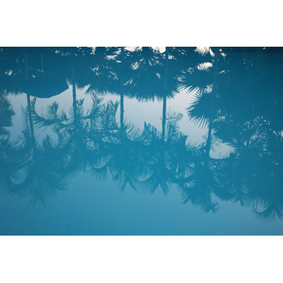 Reflective Palm - Wrapped Canvas Art Prints
