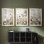 FLORAL Series CDXIX - Impression sur mesure encadrée de qualité supérieure - 3 pièces-2145823-2145816