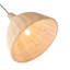 1 - Light  Bowl Pendant