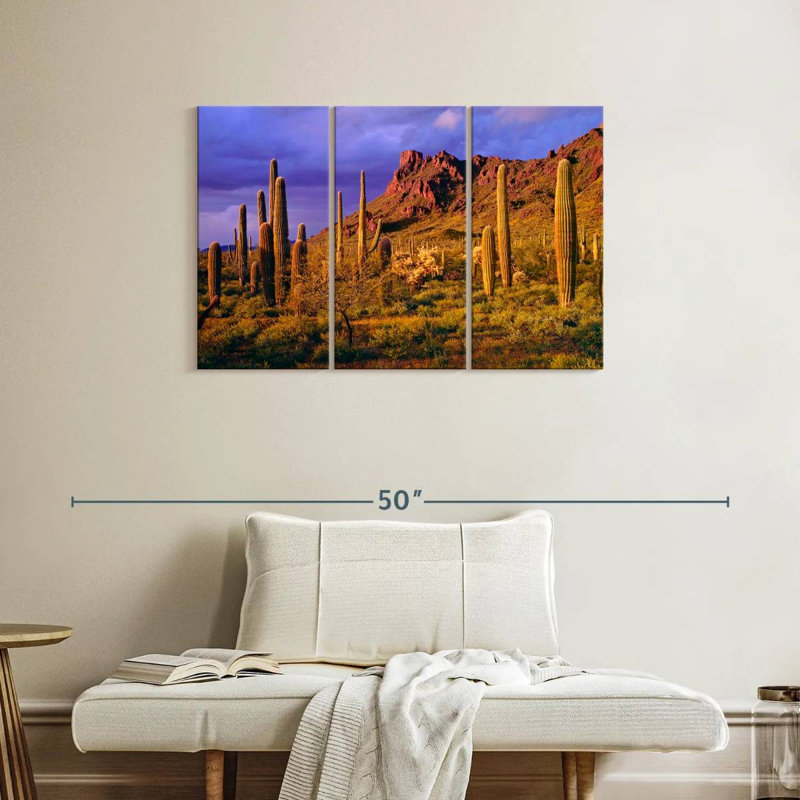 Harnek Arizona Cactus Plants, 24" H x 38" W
