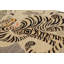 One-of-a-Kind 6'3X8'1 Hand Knotted Area Rug