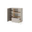 Cabinet 120 2D1SZ-1031123868