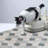 Litter Mat-62927970-90864850