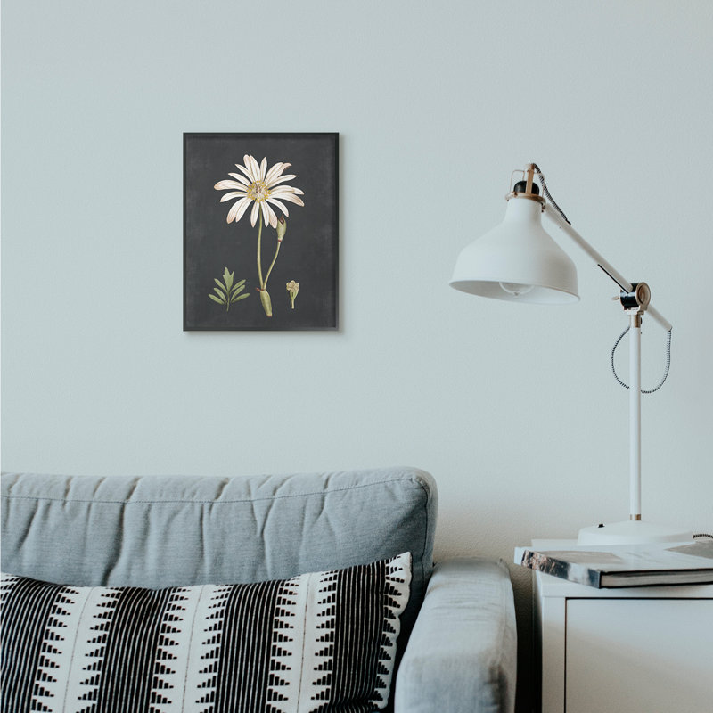 « botanique drawing white on black design », impression, H 14 po x l 11 po, Giclée encadrée noir minuit