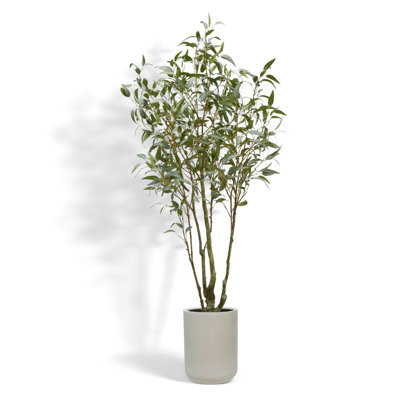 TREE 7FT Willow Eucalyptus KD