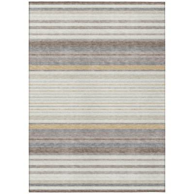 Machine Washable Indoor/Outdoor Drennen ACN2330 Stripes Rug