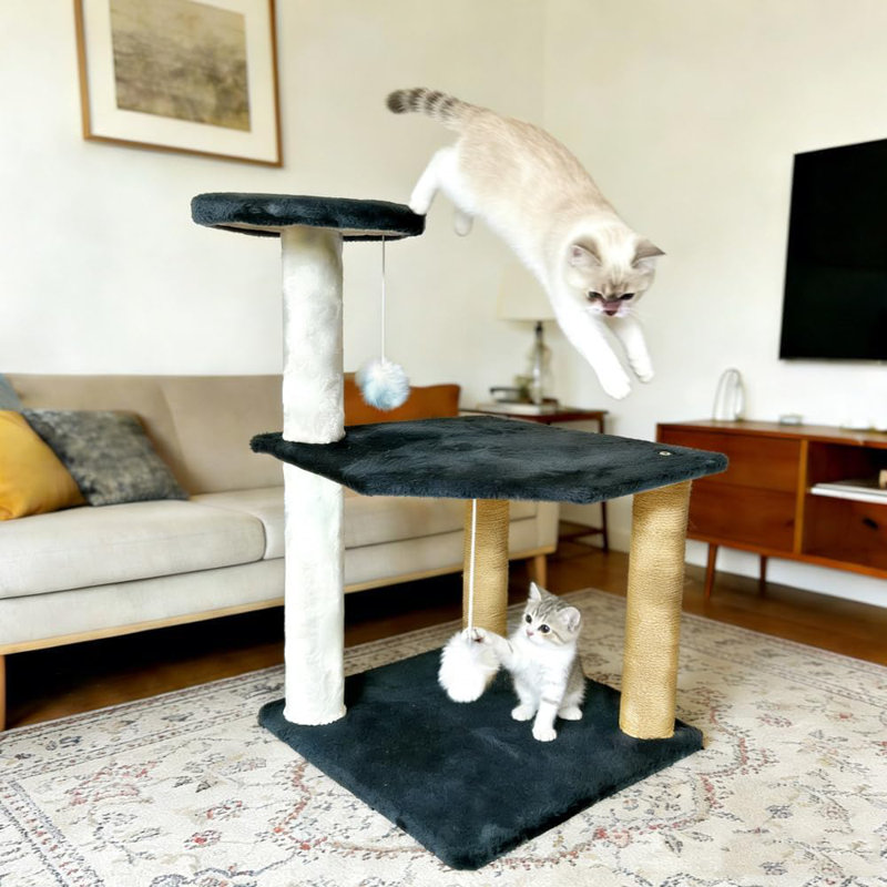Scratching Post