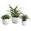 Ceramic Pot Planter-363270053