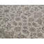 Oriental Area Rug in Ivory