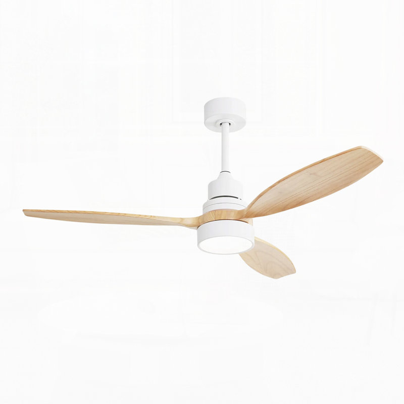 Ventilateur de plafond à DEL intégré de 52 pouces avec ensemble d'éclairage et télécommande pour le salon, Blanc