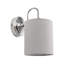 Alleshia Steel Armed Sconce