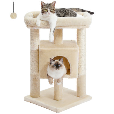 Arbre à chat