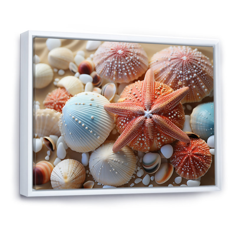 «Beach Photo Seashell Collage VII», reproduction sur toile, H 12 po x l 20 po x P 1 po, Blanc