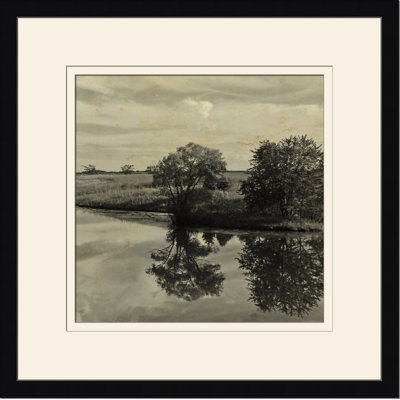 Pond Reflections IV Print