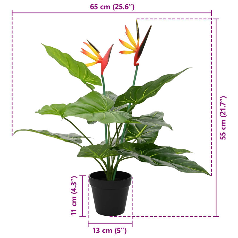 Plant, 55cm H x 65cm W x 13cm D
