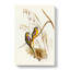 Grass-Parakeets by Elizabeth Gould - Wrapped Canvas-55365984