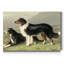 « Sheep dogs »-impression sur toile-1197186174
