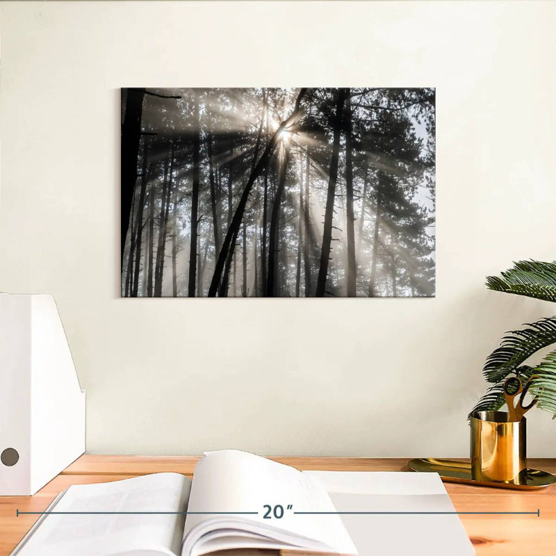Rayon de soleil Alvord Forest, H 8 po x l 12 po