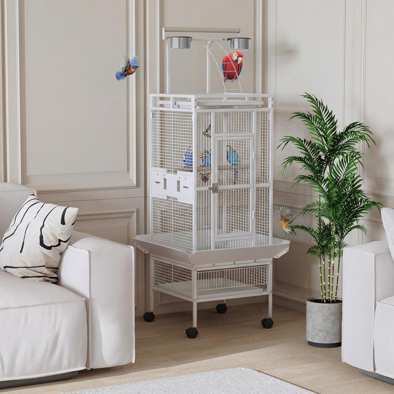 Bird Cage, White