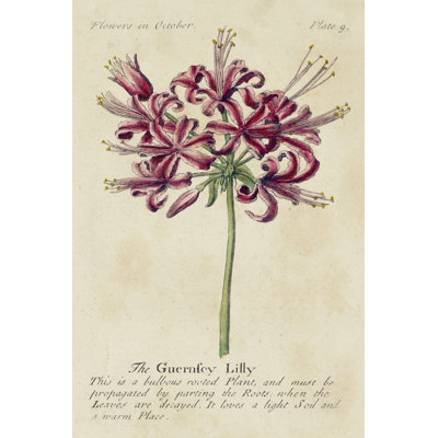Gardeners Guide VII - Wrapped Canvas Print