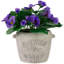 8 plantes