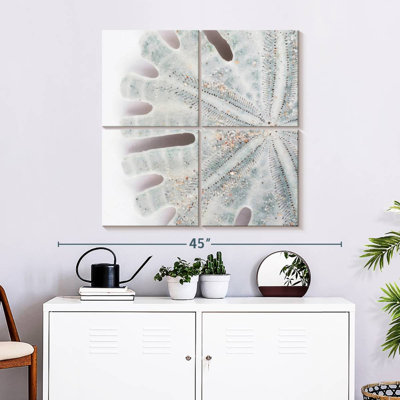 Brampt Florida Sand Dollar IV